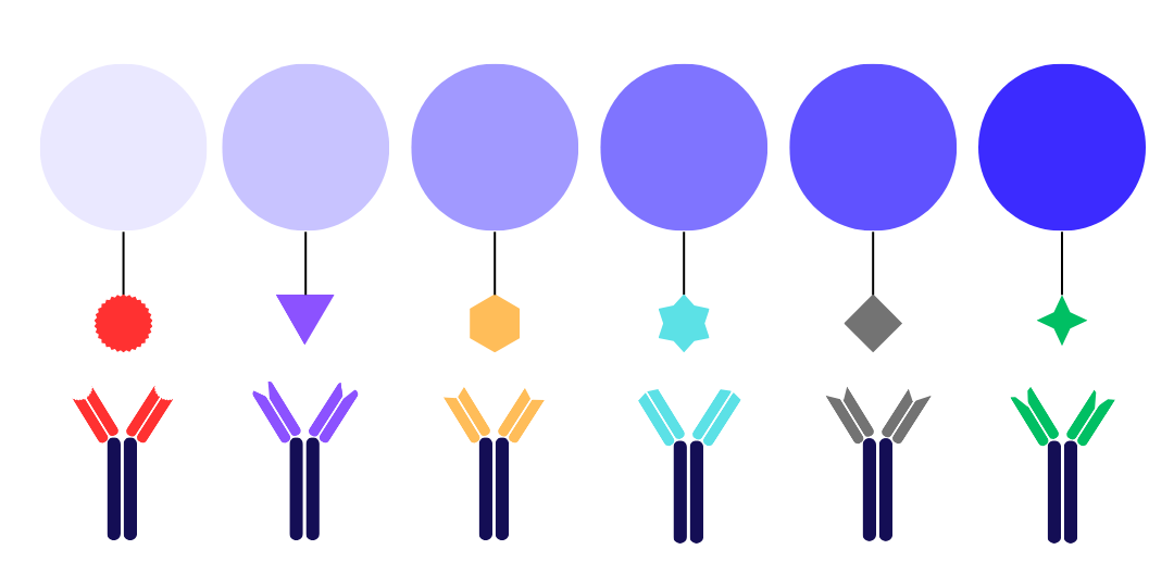 Bestimmung durch kompetitiven Immunoassay Icon