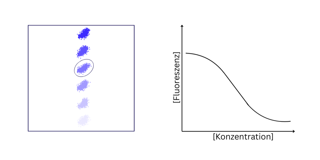 Messung im Durchflusszytometer Icon